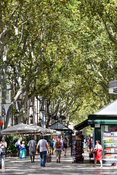Fototapeta Barcelona's main street keeps strong during the covid19 worldwide pandemic