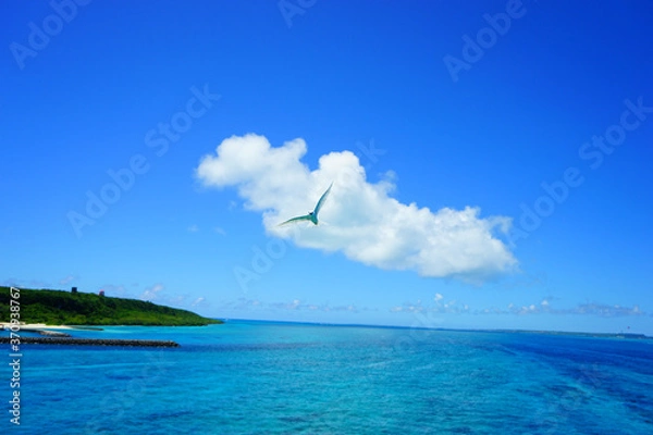 Obraz 2020年8月、宮古島、来間大橋から眺める青い海と空。日本、沖縄。