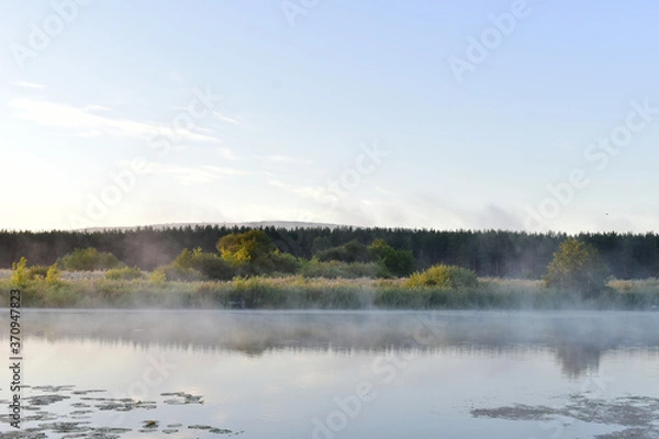 Obraz lake in the forest in morning fog