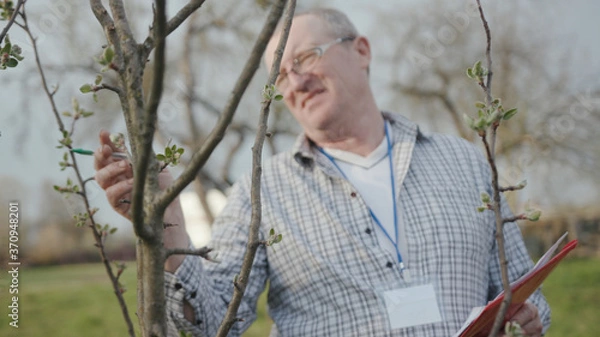 Obraz Close up face young man with glasses check tree write in nature garden green meadow park adult agriculture garden male worker casual one person portrait