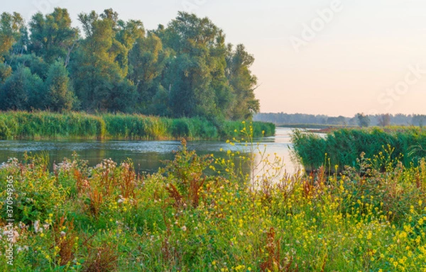 Obraz The edge of a lake at sunrise in an early bright summer morning with a colorful sky in sunlight, Almere, Flevoland, The Netherlands, August 11, 2020