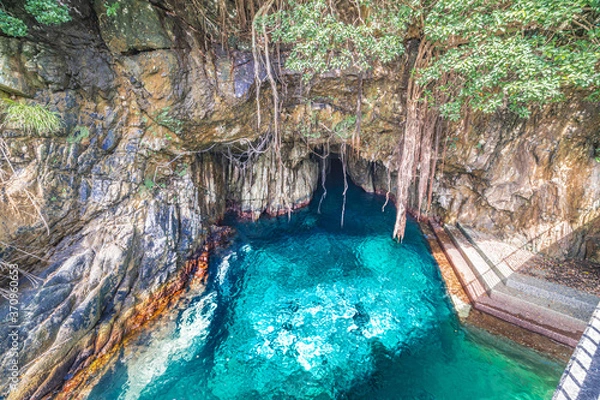 Obraz 高知県　足摺岬　海老洞