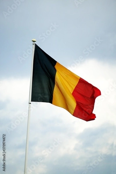 Fototapeta Belgian Flag in the Wind