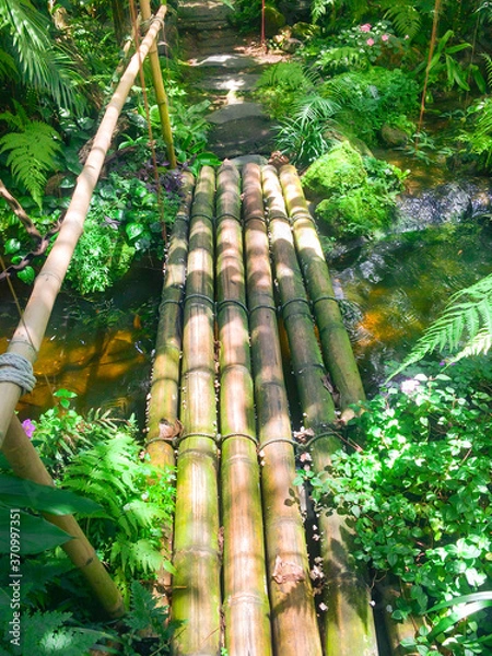 Obraz Bamboo bridge