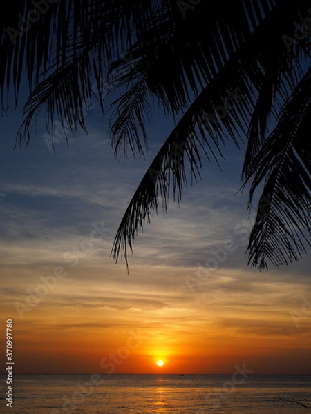Obraz 南国リゾート　夕陽　夕焼け