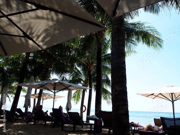 Obraz 南国リゾート