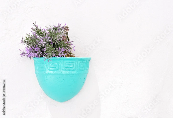 Fototapeta View of a pot of flowers on the wall