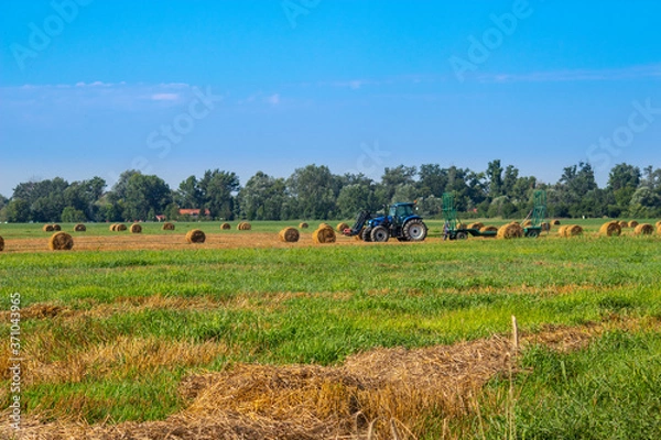 Fototapeta tractor in field