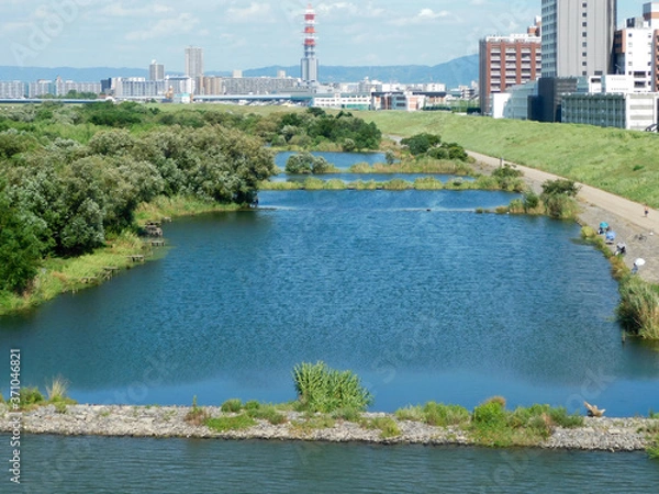 Fototapeta 菅原城北大橋の上流側の城北ワンド(大阪市旭区で8月撮影)