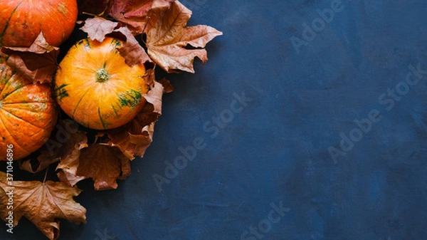 Fototapeta Pumpkins and autumn maple leaves on dark blue background. Thanksgiving day concept. 16x9 banner, copy space.