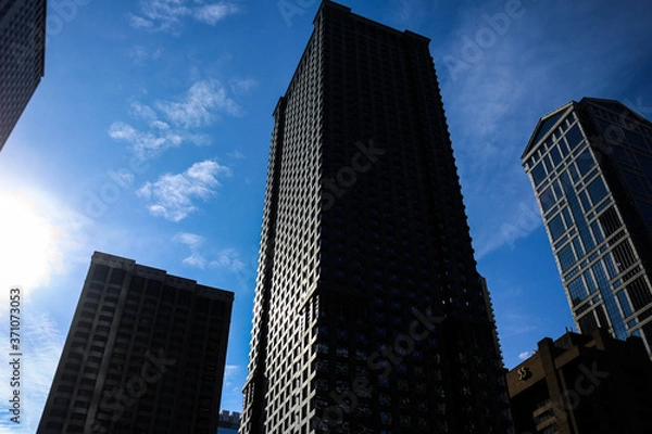 Obraz Chicago Building