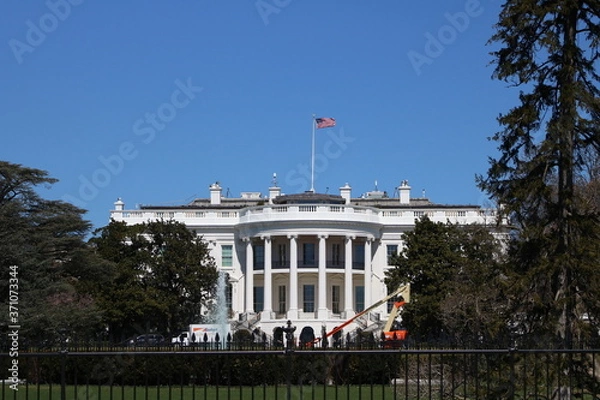 Obraz White House