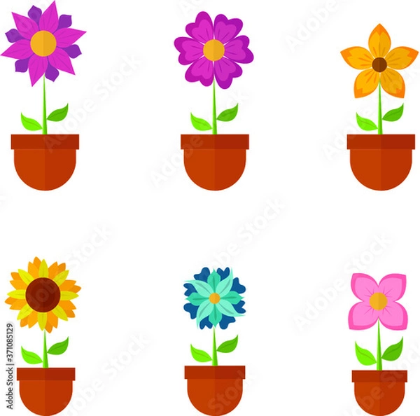 Obraz flowers in pots