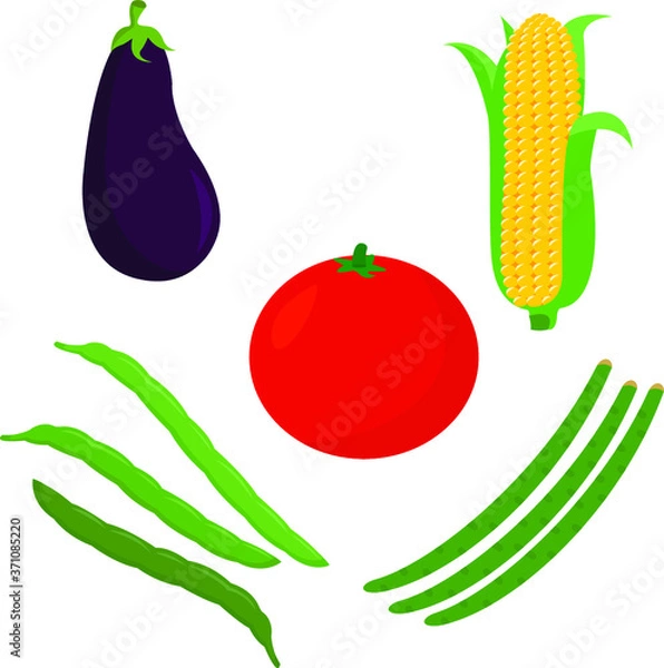 Obraz set of vegetables