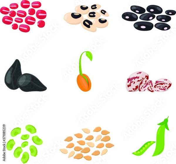 Fototapeta set of beans and peas