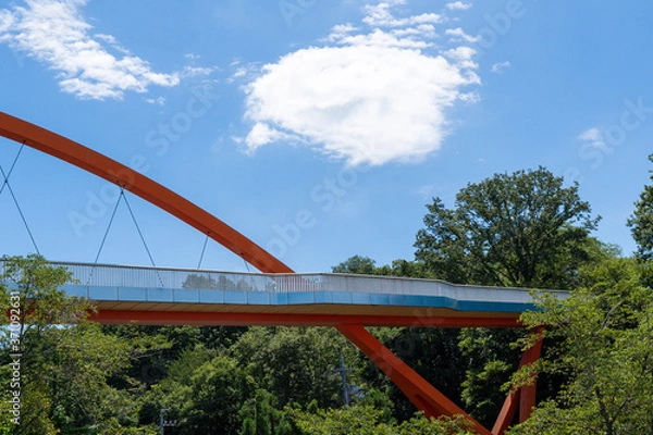 Obraz 青空と大きな橋