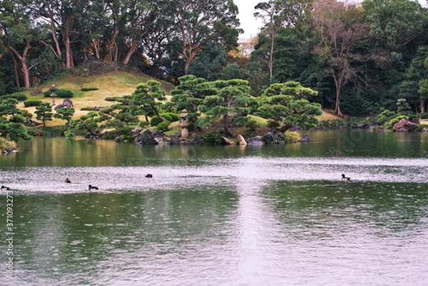 Fototapeta 雨が降る秋の清澄庭園
