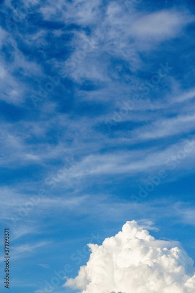 Obraz 青空と積乱雲
