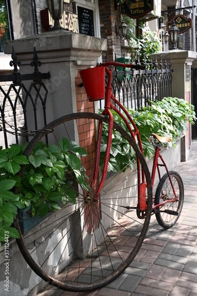 Obraz Old fashioned decorative bicycle with big front wheel standing next to a cafe