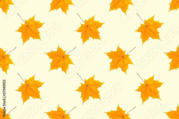 Fototapeta Autumn seamless pattern. Yellow maple leaves on a light yellow background