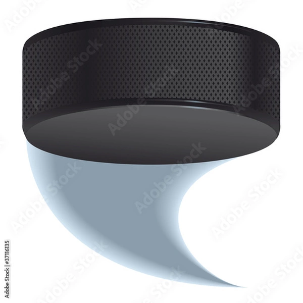 Obraz Hockey puck shot