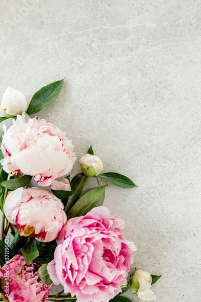 Fototapeta Beautiful pink peony flowers on gray stone table with copy space for your text. Flat style, top view