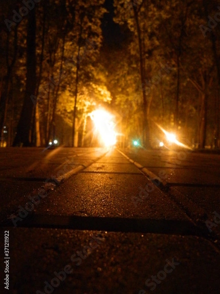 Obraz sunset in the park