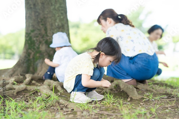 Fototapeta 公園で遊ぶ子供たち