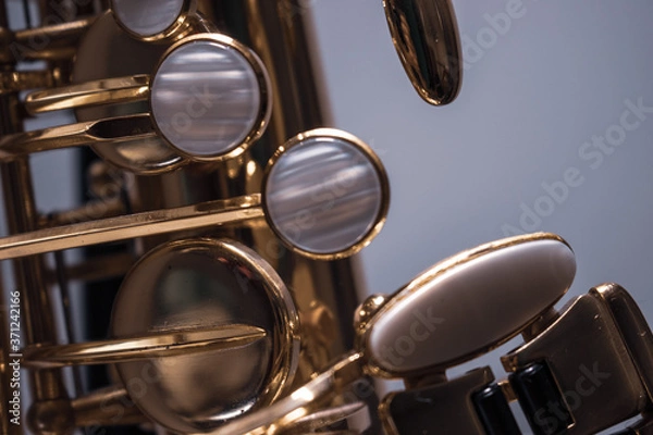Obraz saxophone keys pearl