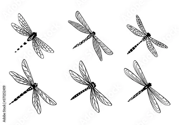 Obraz Ręcznie rysowane zestaw ważki. Śliczne ozdobne owady na białym tle. Ilustracji wektorowych.