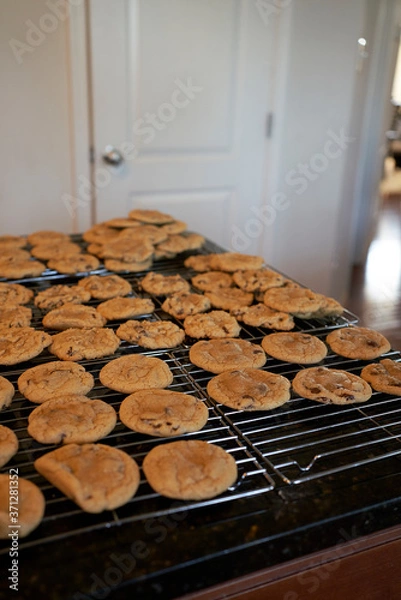 Obraz Cookie on cooling rack