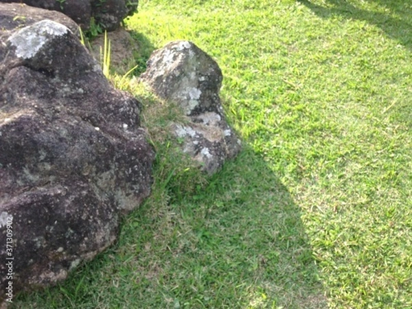 Obraz pedras na grama verde