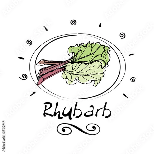 Obraz rhubarb