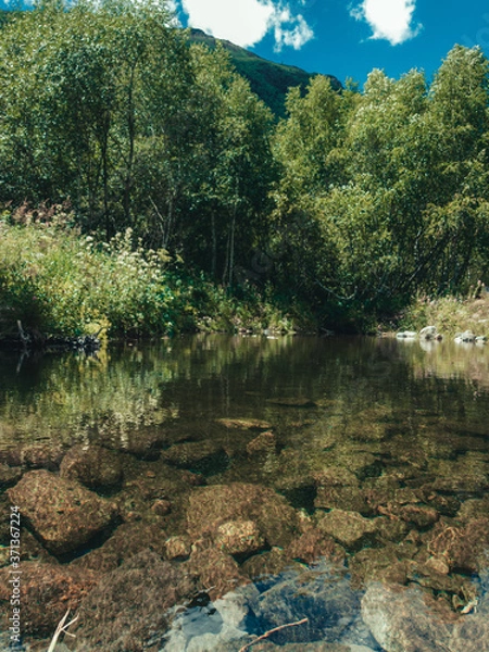 Obraz river in the forest