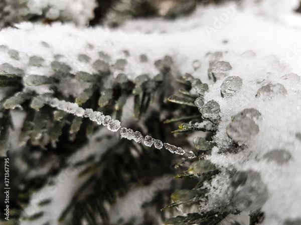 Obraz ice on the window