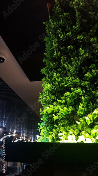 Obraz light at night