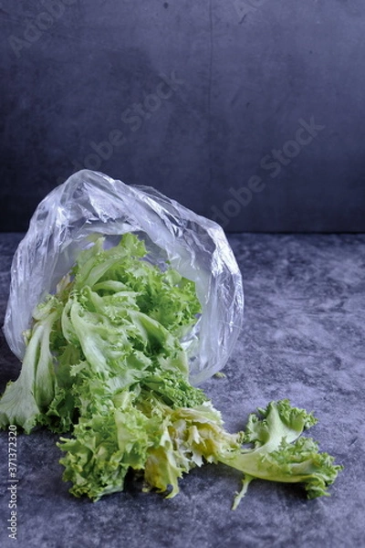 Fototapeta Spoiled salad is in a plastic bag on a dark background. Concept. Polluting to store vegetables in these packets. Copy space.