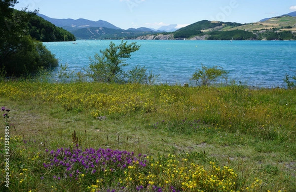 Fototapeta alpine meadow with flowers and lake of serre ponçon, france