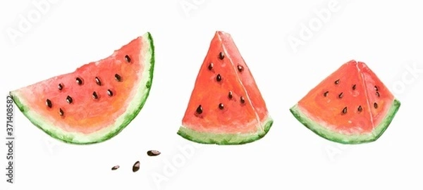 Fototapeta Slices of watermelon isolated on a white background. Painted with acrylic paints. Can be used to create wrapping paper, phone cases, wallpapers, fabrics, fashion prints.