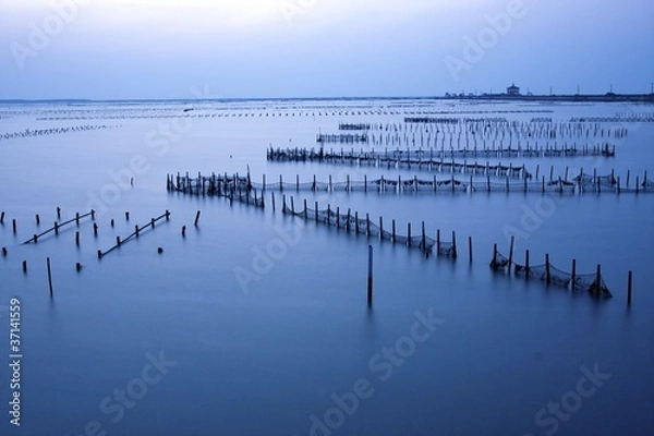 Fototapeta blue sunset at sea