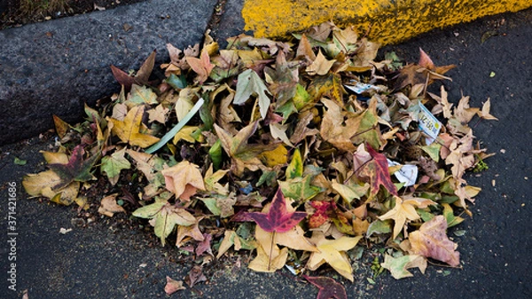 Obraz Leaves pile in the street, autumn in the city, cleaning the streets, abstract on the asphalt