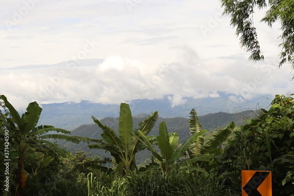 Obraz clouds over the mountains