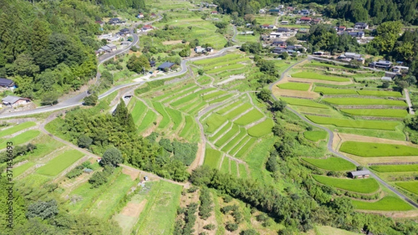 Fototapeta 岐阜県 恵那 坂折棚田