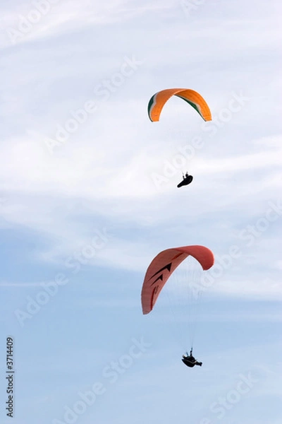 Obraz a couple of paragliders