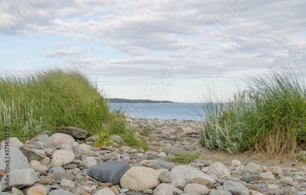 Obraz Beach, grass, rocks