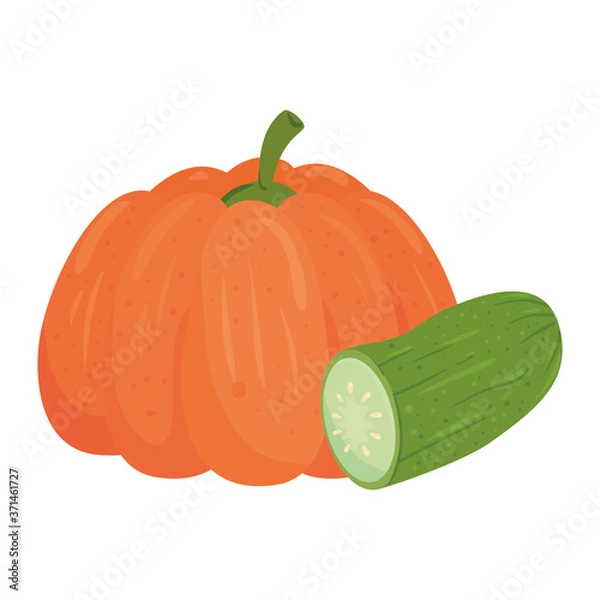 Obraz fresh vegetables, pumpkin with cucumber, in white background vector illustration design