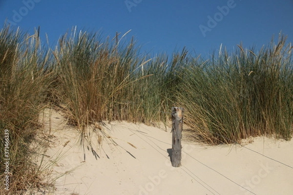 Obraz Traumhafte Dünen