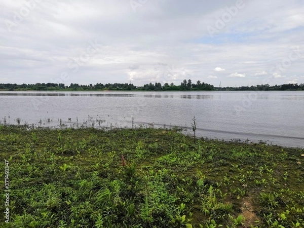 Fototapeta lake in the field