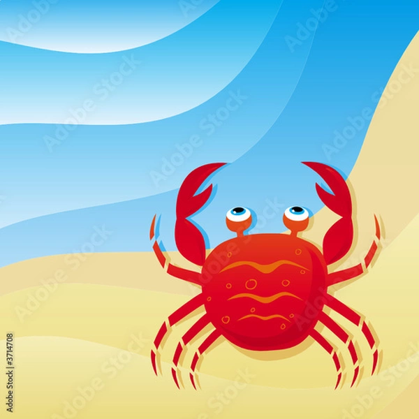 Fototapeta cute little crab