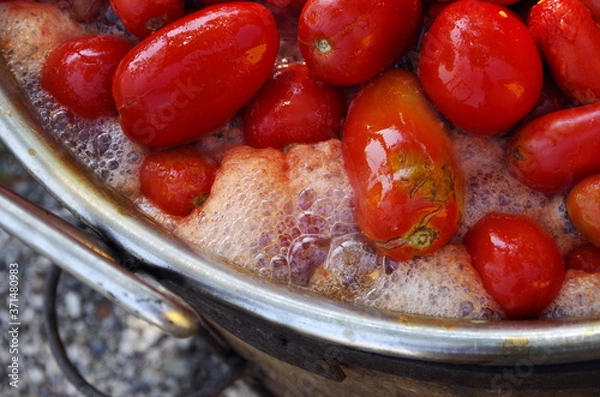 Obraz podori in estate